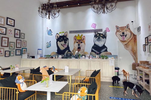 身邊的美學空間 蘇州這幾處公共文化體驗空間，文藝小資且充滿藝術靈感